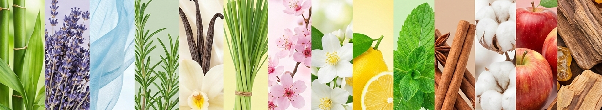 Banner principal da landing page da pirâmide olfativa, mostrando uma ilustração de uma pirâmide com notas de topo, corpo e base