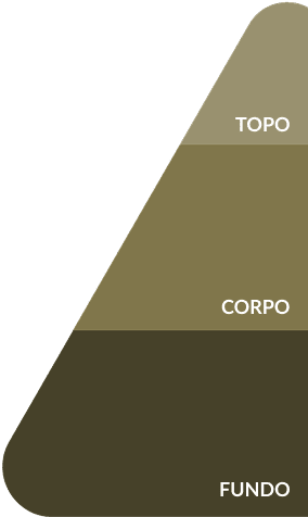 Ilustração explicativa da pirâmide olfativa mostrando notas de topo, corpo e base