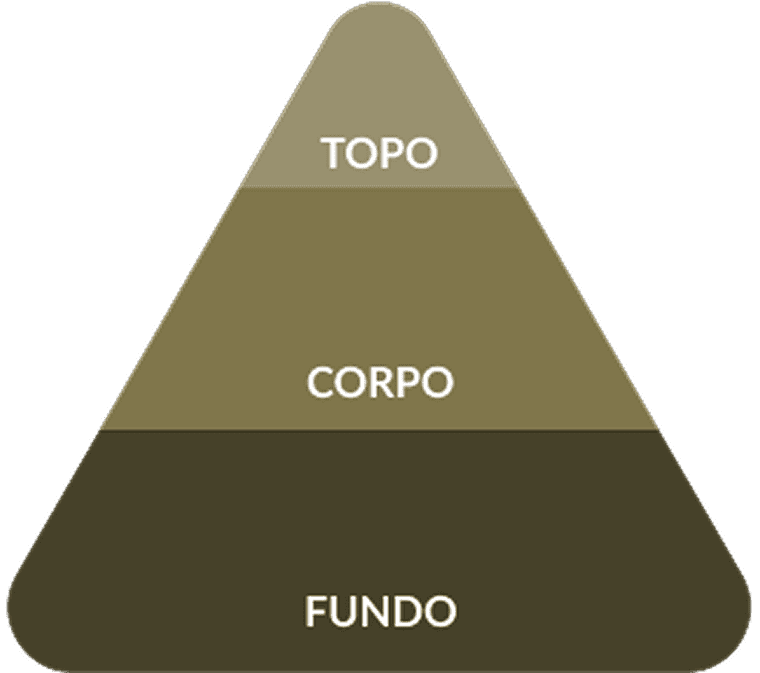 Ilustração explicativa da pirâmide olfativa mostrando notas de topo, corpo e base